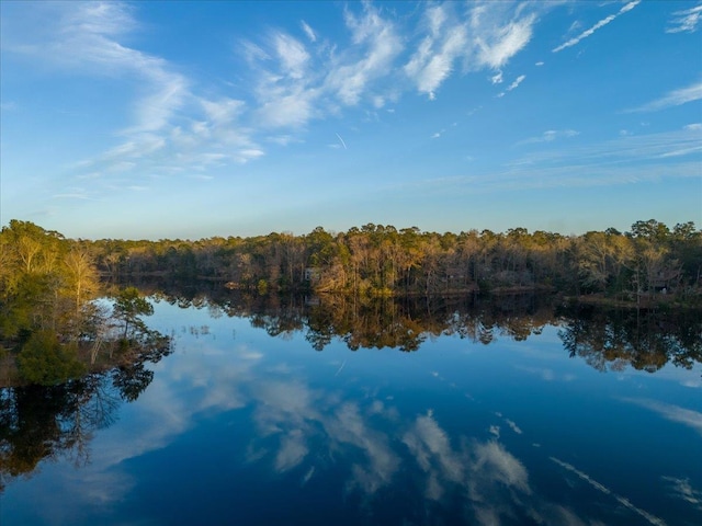 231 Sheline Dr, Havana, FL 32333 - water view with a forest
