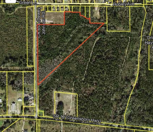 360 Dewey Johnson Way, Gretna, FL 32332 - photo 1