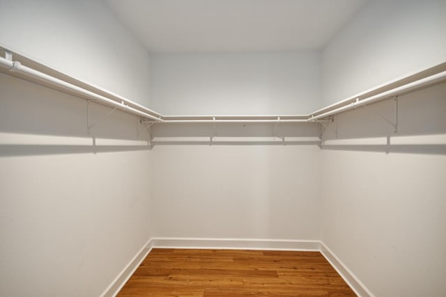 spacious closet with wood-type flooring