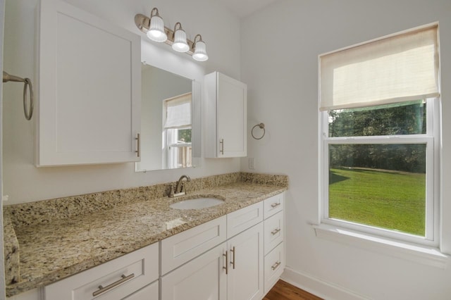 bathroom with vanity, hardwood / wood-style flooring, and a healthy amount of sunlight