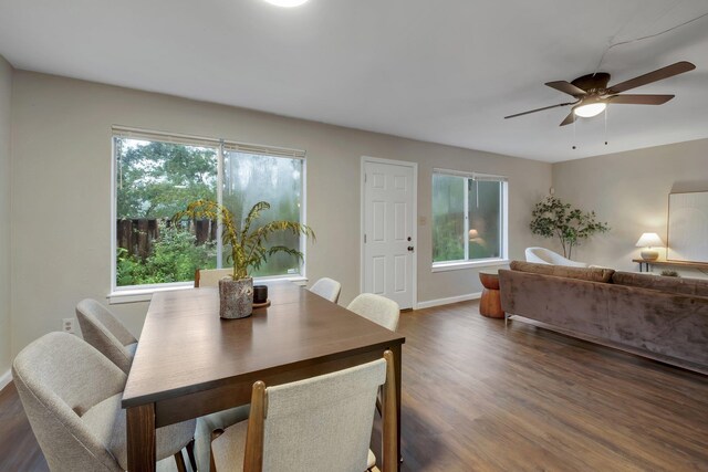 3036 Blair Stone Ct, Tallahassee, FL 32301 - photo 12