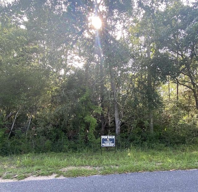 308 River Rd, Carrabelle, FL 32322
