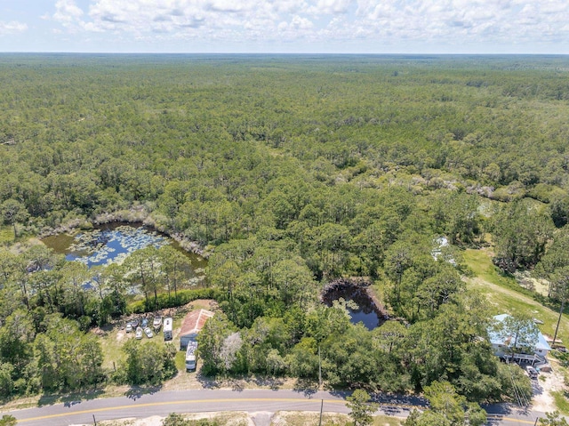 308 River Rd, Carrabelle, FL 32322