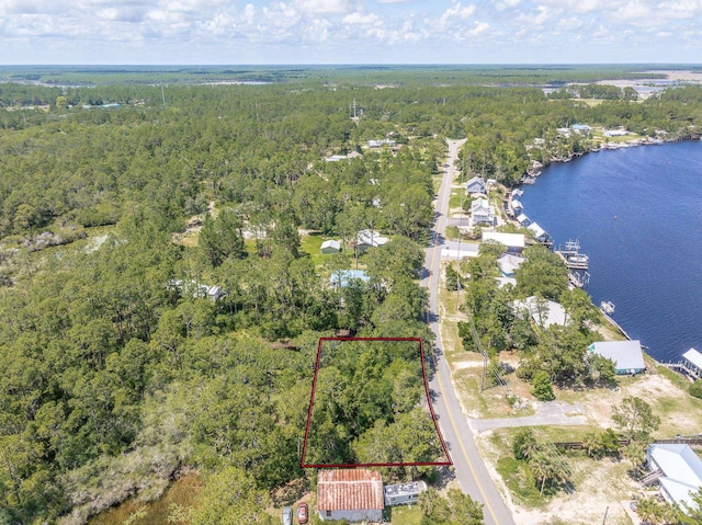 308 River Rd, Carrabelle, FL 32322