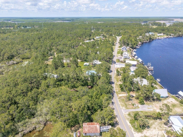 308 River Rd, Carrabelle, FL 32322