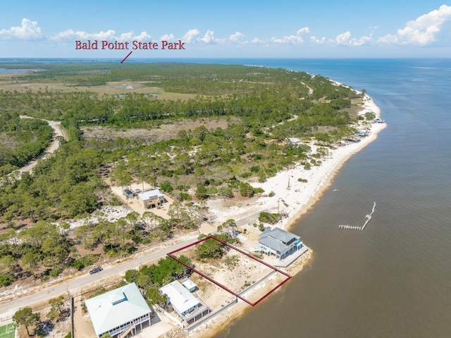 1035 Gulfshore Blvd, Alligator Point, FL 32346 - photo 13