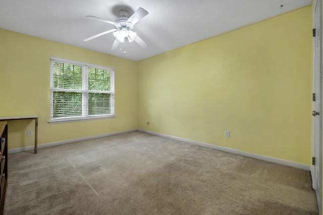 405 Holly Hill Ct, Tallahassee, FL 32312 - photo 29