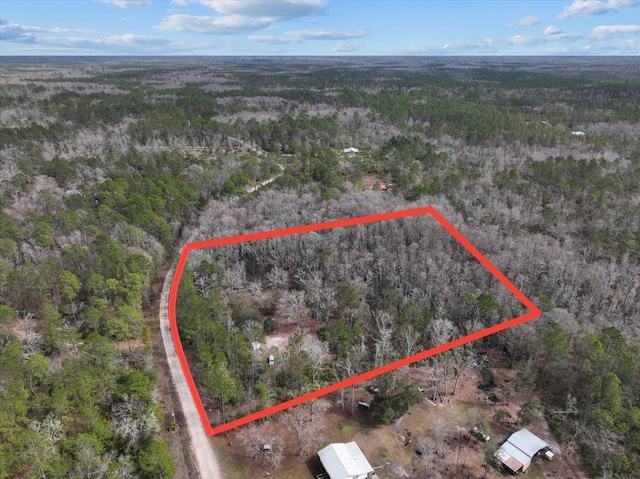 17641 Aucilla River Estates Rd, Lamont FL, 32336 land for sale