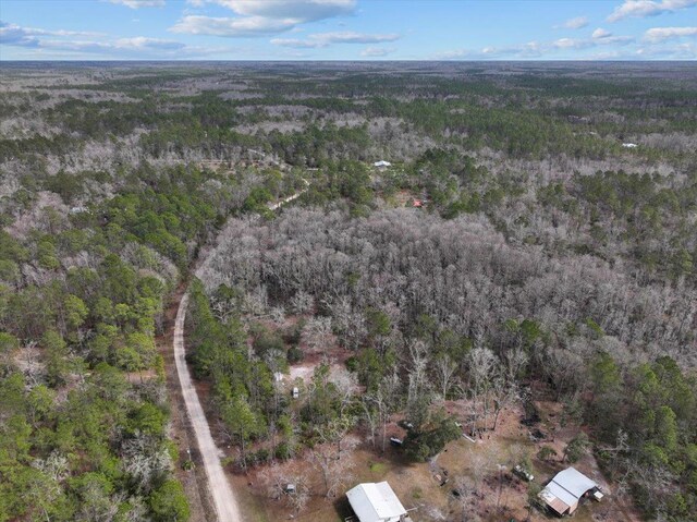 17641 Aucilla River Estates Rd, Lamont, FL 32336 - photo 17