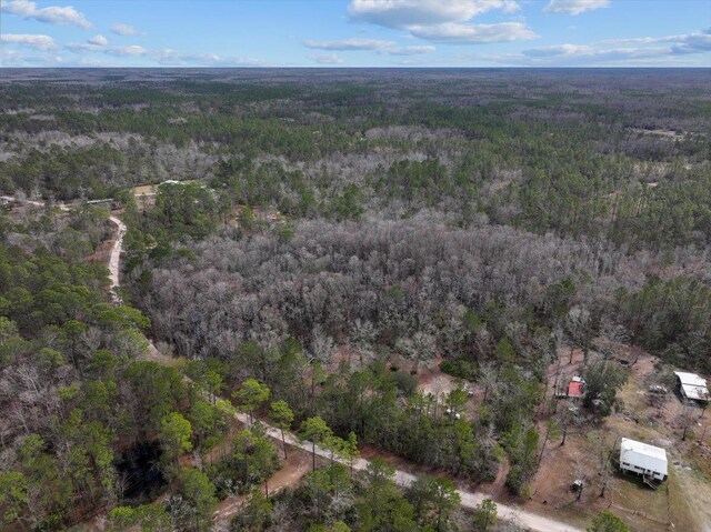 17641 Aucilla River Estates Rd, Lamont, FL 32336 - photo 16