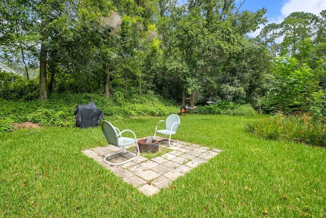 928 Hawthorne St, Tallahassee, FL 32308 - photo 8