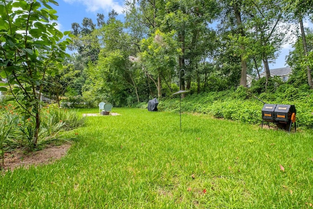 928 Hawthorne St, Tallahassee, FL 32308 - photo 13