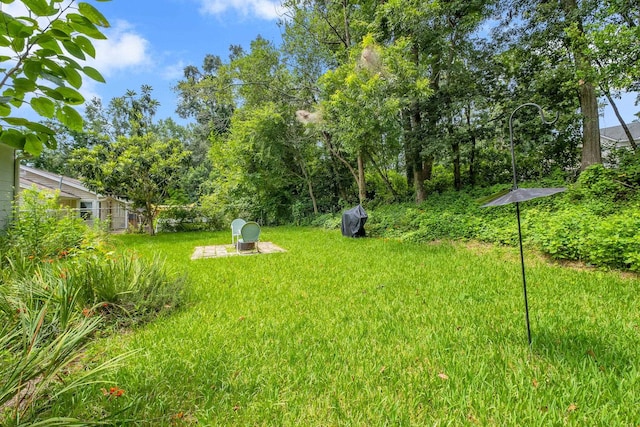 928 Hawthorne St, Tallahassee, FL 32308 - photo 12