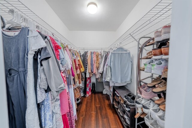 1842 Acorn Ridge Trl, Tallahassee, FL 32312 - walk in closet with wood finished floors