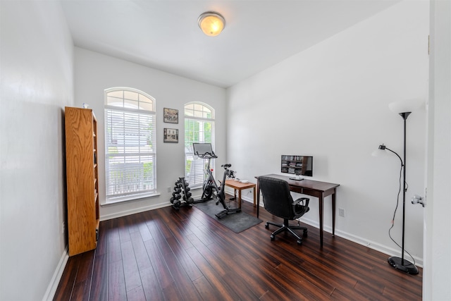 1842 Acorn Ridge Trl, Tallahassee, FL 32312 - office space featuring wood finished floors and baseboards