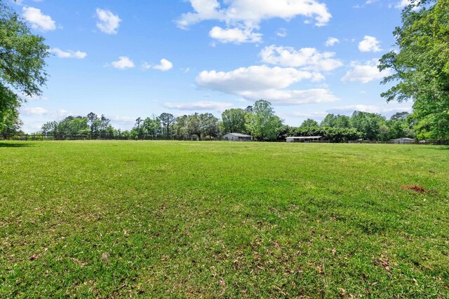 11124 Bexhill Ln, Tallahassee, FL 32317 - view of yard with a rural view