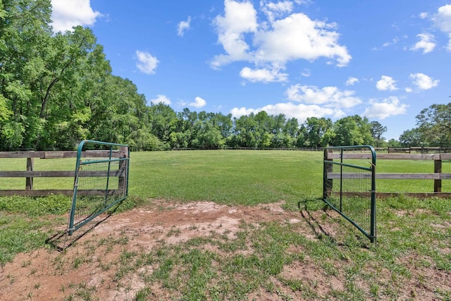 11124 Bexhill Ln, Tallahassee, FL 32317 - view of yard with fence, a gate, and a rural view