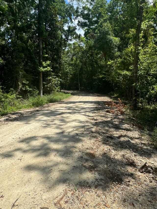 Fallow Rd, Lamont, FL 32336 - photo 12