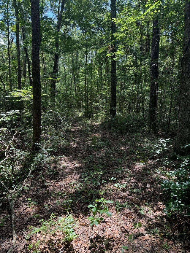 Fallow Rd, Lamont, FL 32336 - photo 3