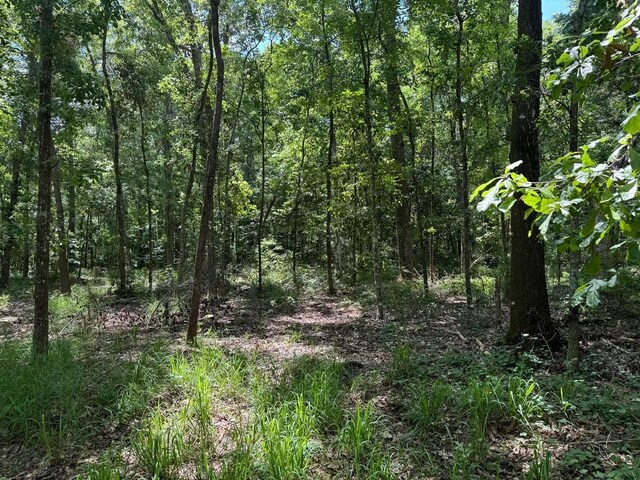 Fallow Rd, Lamont, FL 32336 - photo 5