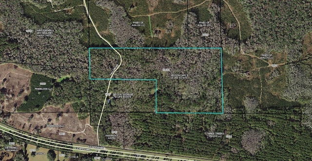 Fallow Rd, Lamont FL, 32336 land for sale