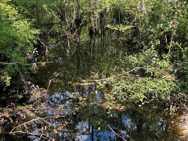 Fallow Rd, Lamont, FL 32336 - photo 11