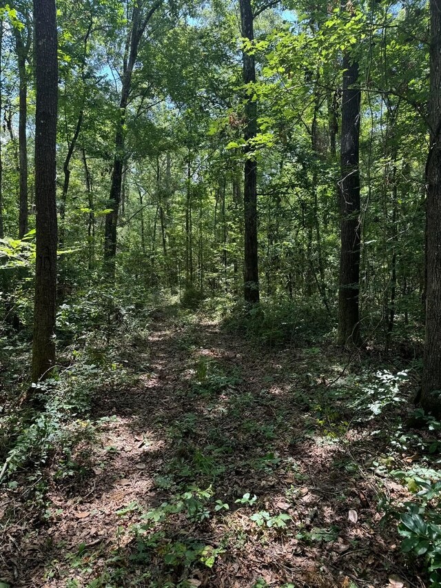 Fallow Rd, Lamont, FL 32336 - photo 4