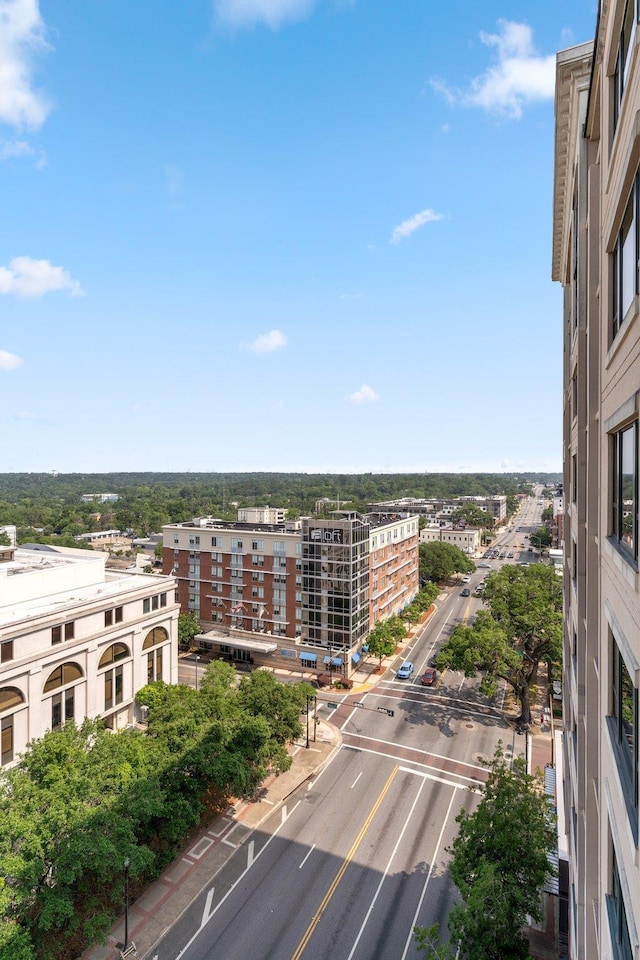 121 N Monroe St Unit 1103, Tallahassee, FL 32301 - aerial view