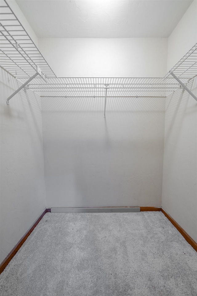 walk in closet featuring carpet