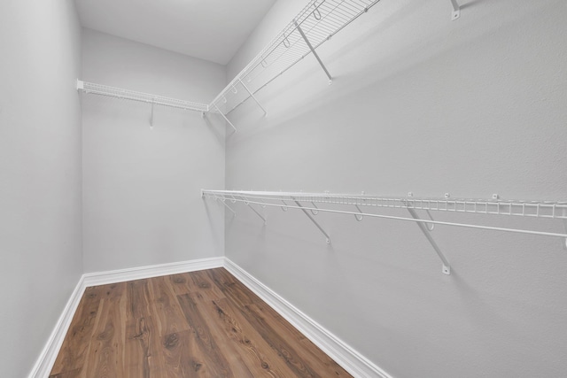 walk in closet with hardwood / wood-style floors