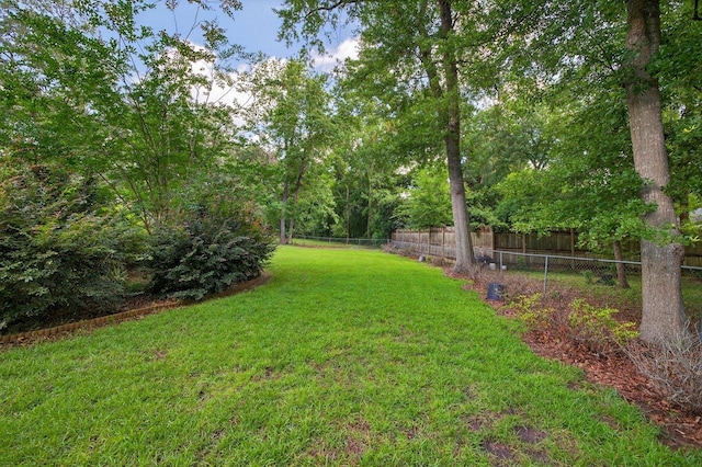 2903 Whirlaway Trl, Tallahassee, FL 32309 - view of yard