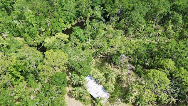 10815 Cooey Island Gr, Perry, FL 32347 - aerial view