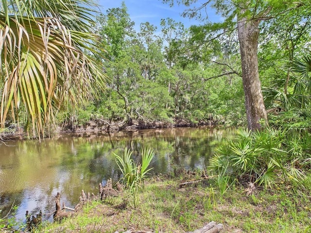 10815 Cooey Island Gr, Perry, FL 32347 - water view