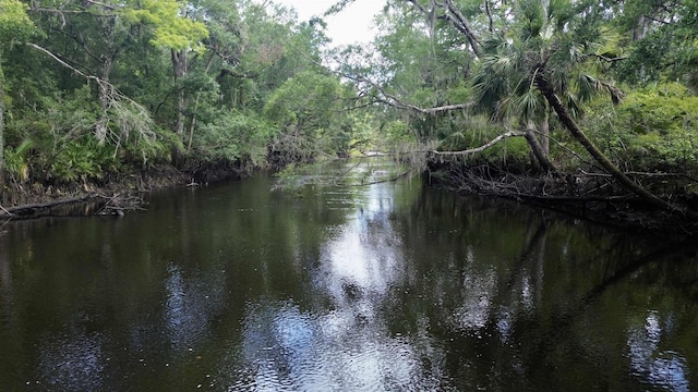 10815 Cooey Island Gr, Perry, FL 32347 - water view with a forest