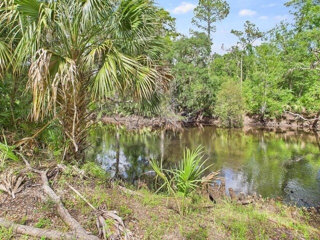 10815 Cooey Island Gr, Perry, FL 32347 - water view