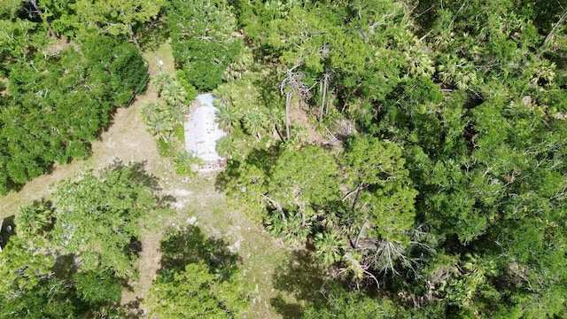 10815 Cooey Island Gr, Perry, FL 32347 - aerial view of property's location