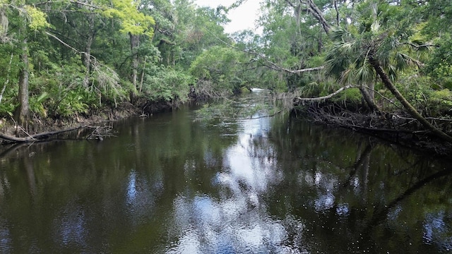 10815 Cooey Island Gr, Perry, FL 32347 - water view featuring a forest