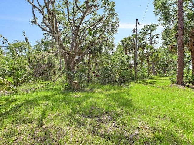 10815 Cooey Island Gr, Perry, FL 32347 - view of yard