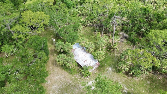 10815 Cooey Island Gr, Perry, FL 32347 - aerial view