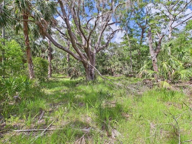 10815 Cooey Island Gr, Perry, FL 32347 - view of nature