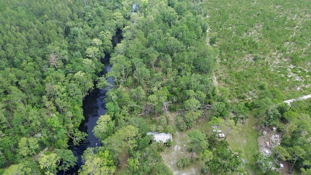 10815 Cooey Island Gr, Perry, FL 32347 - view of property location with a forest