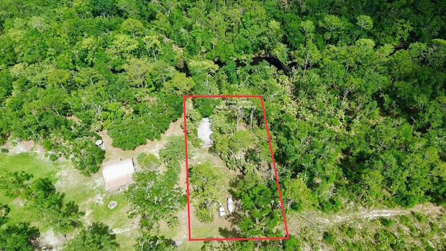 10815 Cooey Island Gr, Perry, FL 32347 - aerial view of property and surrounding area with property boundaries highlighted