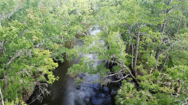 10815 Cooey Island Gr, Perry, FL 32347 - view of woods with a water view