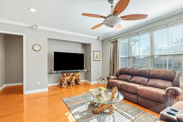 living room featuring ceiling fan, light hardwood / wood-style flooring, and ornamental molding