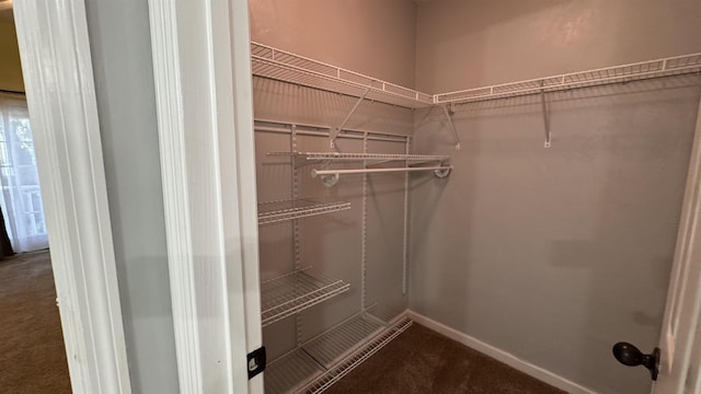 4417 Siesta Ct, Tallahassee, FL 32309 - spacious closet featuring carpet floors