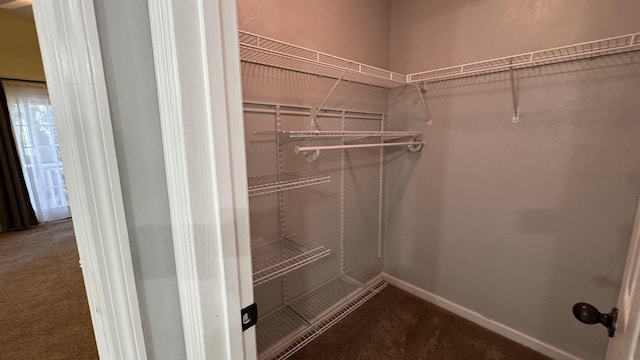 4417 Siesta Ct, Tallahassee, FL 32309 - spacious closet featuring carpet
