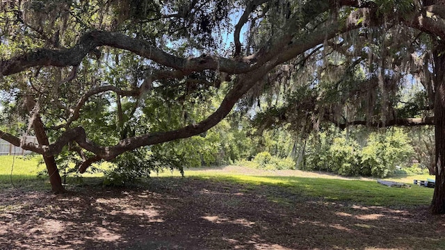 4417 Siesta Ct, Tallahassee, FL 32309 - view of nature