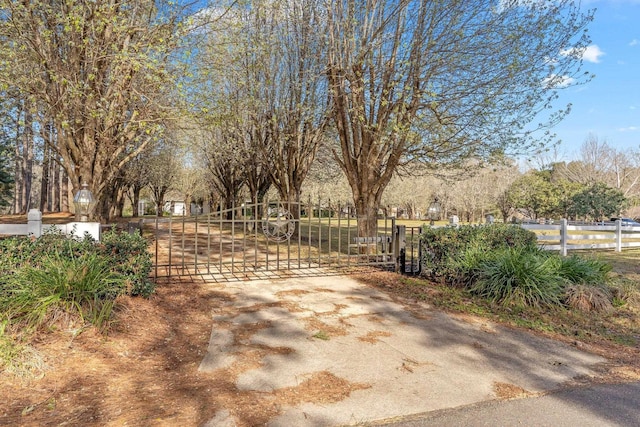 view of yard featuring fence and a gate