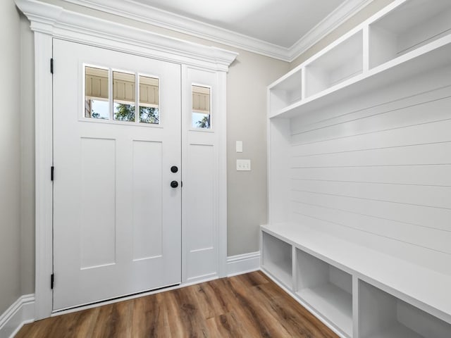 mudroom featuring dark wood-type flooring and crown molding