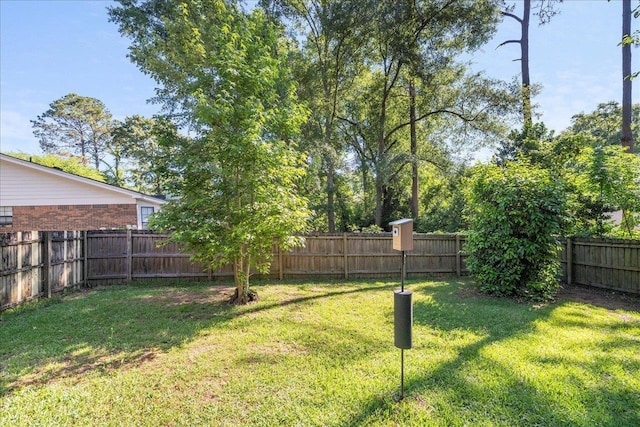 6447 Joe Cotton Trl, Tallahassee, FL 32309 - view of yard